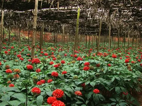 ABUIABBfGAAg27vtygYop-7rbzDaAzjjAg